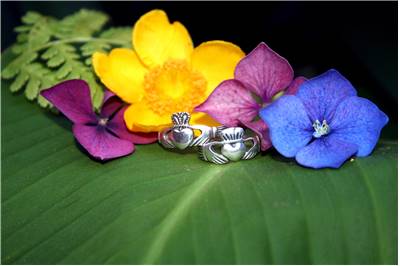 Claddagh Rings And Flowers